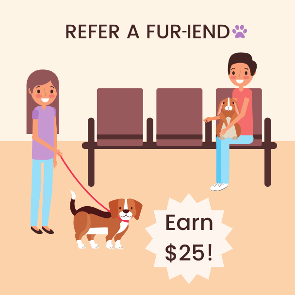 Refer-a-Fur-iend-Graphic