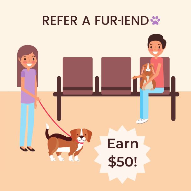 Earn $50 Refer-a-Fur-iend-Graphic